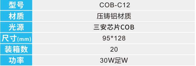 COB-C12 1.jpg